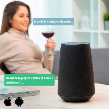 Enceinte connectée intelligente - Livraison Offerte