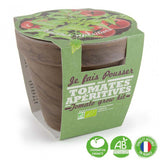 Kit de plantation intérieur Tomate cerise BIO avec pot en terre cuite inclus - Livraison Offerte