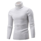 Pull Col roulé pour homme