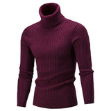 Pull Col roulé pour homme